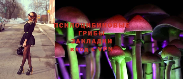 прущие крисы Осташков