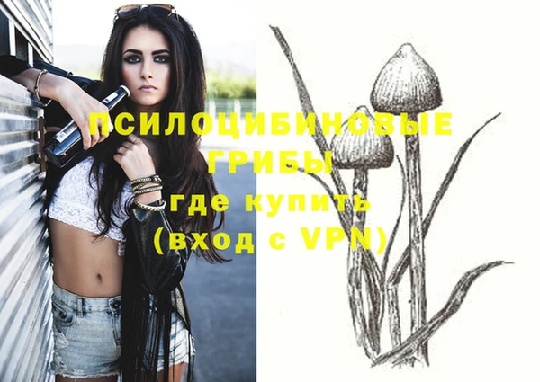 прущие крисы Осташков