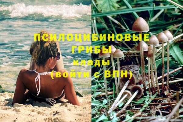 герыч Няндома